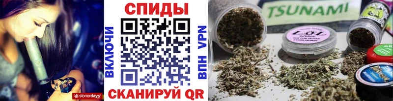 как найти закладки  Полярный  Бутират BDO 33% 