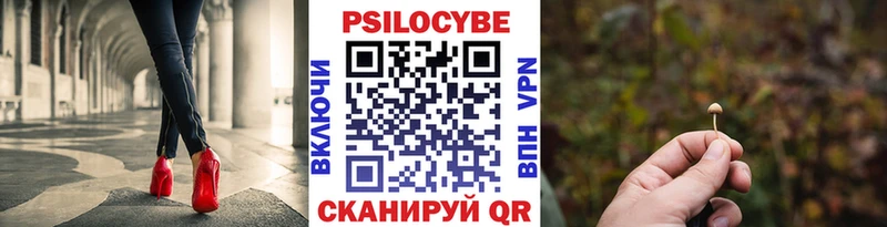 ОМГ ОМГ ССЫЛКА  Полярный  Псилоцибиновые грибы Psilocybe  сколько стоит 