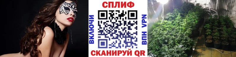Конопля OG Kush  Полярный 